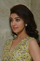 Pranitha at Hello Guru Prema Kosame Movie Success Meet